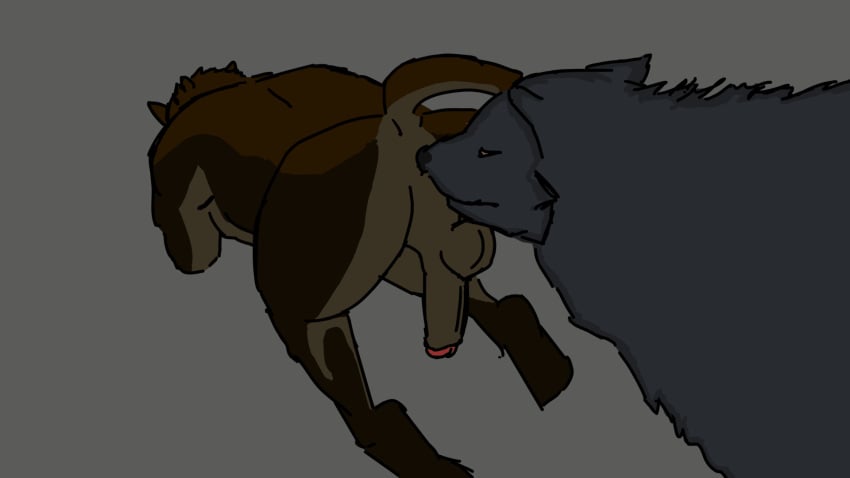 anal animated anthro anthro_on_feral anus backsack balls bethesda_softworks butt_sniffing canid canine canis duo felid feral genitals hi_res khajiit licking male male/male mammal nose_to_anus oral penis rimming saliva_on_anus sex sniffing the_elder_scrolls tongue tongue_out video_games wolf zoophilia