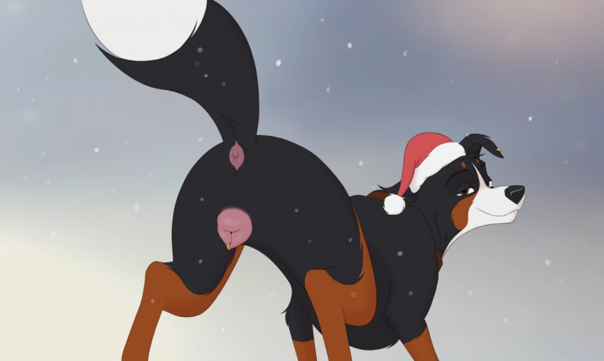 2021 anatomically_correct anatomically_correct_anus anatomically_correct_genitalia anatomically_correct_pussy animal_genitalia animal_pussy anus ass bedroom_eyes bernese_mountain_dog brown_body brown_eyes brown_fur canid canine canine_pussy canis christmas christmas_clothing christmas_headwear clothing digital_drawing_(artwork) digital_media_(artwork) domestic_dog ear_piercing female feral fur genital_piercing genitals half-closed_eyes hat headgear headwear holidays ishan looking_at_viewer looking_back mammal molosser mountain_dog narrowed_eyes piercing pink_anus pink_pussy presenting presenting_anus presenting_hindquarters presenting_pussy pussy pussy_piercing raised_tail sam_(tiquana) santa_hat seductive simple_background smile snow snowflake snowing solo swiss_mountain_dog