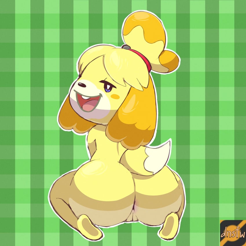 1:1 2021 accurate_art_style animal_crossing anthro anus ass ass_focus bedroom_eyes big_ass big_butt blonde_hair canid canine canis cleft_of_venus darknsfwindie domestic_dog female female_only full-length_portrait fur furry furry_only genitals hi_res isabelle_(animal_crossing) kneeling looking_at_viewer looking_back looking_back_at_viewer mammal naked narrowed_eyes nintendo nude open_mouth open_smile pattern_background portrait presenting presenting_anus presenting_ass presenting_butt presenting_hindquarters presenting_pussy pussy rear_view seductive shih_tzu simple_background smile solo solo_female tail toy_dog video_games yellow_fur