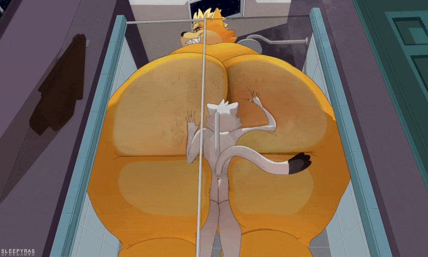 5:3 against_glass animal_humanoid animated anthro ass ass_jiggle ass_on_glass ass_shake ass_shaking bathroom big_ass big_ass_(male) big_butt biscut_(sleepyras) black_body black_fur bodily_fluids bouncing_ass bouncing_butt bubble_ass bubble_butt butt_jiggle butt_shake butt_shaking butt_squish canid canine dat_ass dat_butt domestic_cat dumptruck_ass dumptruck_butt duo facial_tuft fat_ass fat_butt felid feline felis fox fur grin head_in_ass head_tuft huge_ass huge_butt humanoid jiggling_ass jiggling_butt large_ass large_butt male mammal massive_ass massive_butt motion_tweening multicolored_body multicolored_fur musk obese obese_anthro obese_male orange_body orange_fur overweight overweight_anthro overweight_male plump_ass plump_butt round_ass round_butt sharp_teeth short_playtime shower signature size_difference sleepyras smile smothering smug_grin squish superchub sweat sweaty_butt teeth thick_thighs tuft two_tone_body two_tone_fur white_body white_fur yellow_body yellow_fur