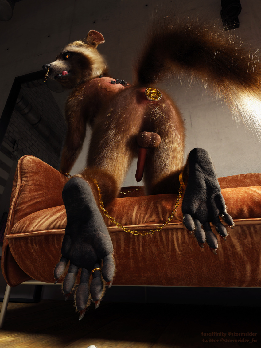 1boy 3:4 3d_(artwork) 5_toes absurd_res anthro backsack balls blender_(software) bodily_fluids bondage bound brown_sofa buttplug chains claws digit_ring digital_media_(artwork) dripping facial_piercing feet foot_fetish foot_focus furniture genital_fluids genitals guardians_of_the_galaxy hi_res hindpaw jewelry kneeling male male_only mammal marvel nose_piercing nose_ring on_sofa paws piercing plug_(sex_toy) precum precum_drip procyonid raccoon restraints ring rocket_raccoon sex_toy shackled shackles sofa soles solo stormrider toe_ring toes