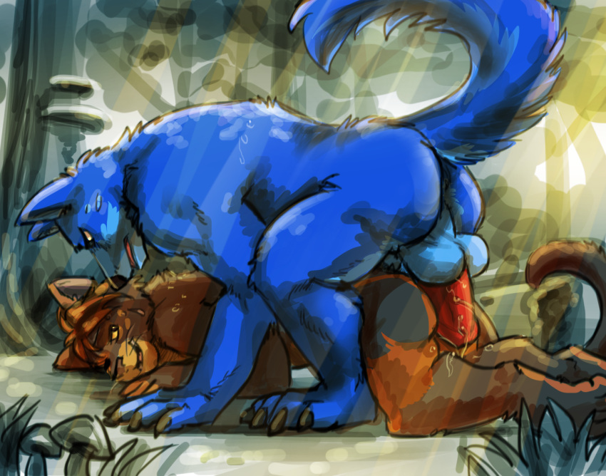 all_fours anthro anthro_on_anthro ass balls bent_over big_balls big_dom_small_sub big_penis blue_body blue_fur blue_tail bodily_fluids brown_body brown_fur canid canine canis clenched_teeth doggy_style dominant dominant_male dripping duo erection felid feline forest forest_background from_behind_position fur genital_fluids genitals hawkpelt healerblade humanoid_genitalia humanoid_penis imminent_sex looking_at_another looking_at_partner male male/male male_on_bottom male_on_top mammal markings multicolored_body multicolored_fur muscular muscular_male nature nature_background on_bottom on_top orange_body orange_fur outside outside_sex penis plant plantigrade precum precum_drip raemyshu sex side_view size_difference teasing teeth tree wolf