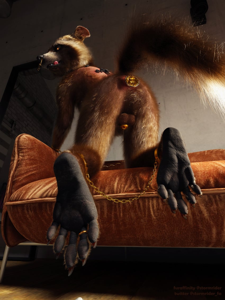 1boy 3:4 3d_(artwork) 5_toes absurd_res anthro blender_(software) bodily_fluids bondage bound brown_sofa buttplug chains chastity_cage chastity_device claws digit_ring digital_media_(artwork) dripping facial_piercing feet foot_fetish foot_focus furniture genital_fluids guardians_of_the_galaxy hi_res hindpaw jewelry kneeling male male_only mammal marvel nose_piercing nose_ring on_sofa paws piercing plug_(sex_toy) precum precum_drip procyonid raccoon restraints ring rocket_raccoon sex_toy shackled shackles sofa soles solo stormrider toe_ring toes