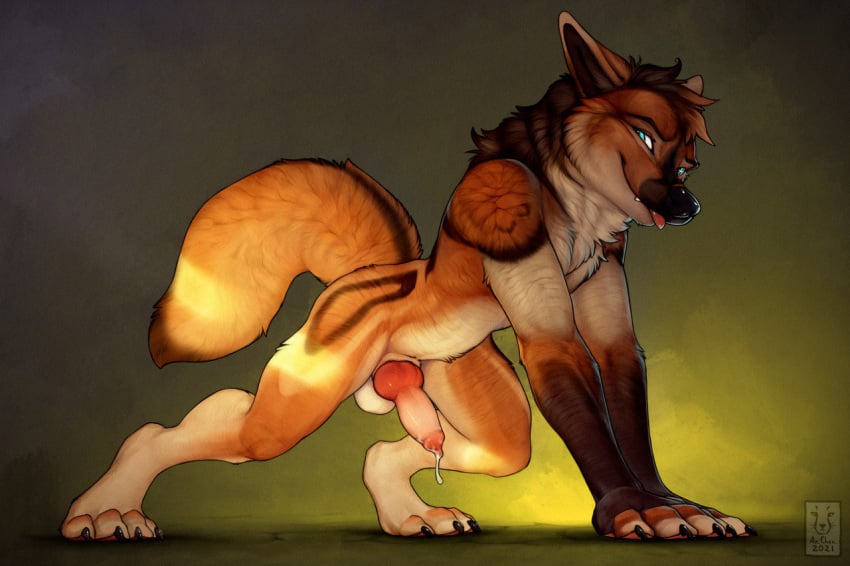 4_toes all_fours anchee animal_genitalia animal_penis anthro balls black_nose blue_eyes bodily_fluids brown_body brown_fur canid canine canine_penis chest_tuft dripping erection feet fingers fur fur_markings genital_fluids genitals knot looking_at_viewer male male_anthro mammal markings multicolored_body multicolored_fur nude penis precum precum_drip smile smiling_at_viewer solo toes tongue tongue_out tuft white_body white_fur