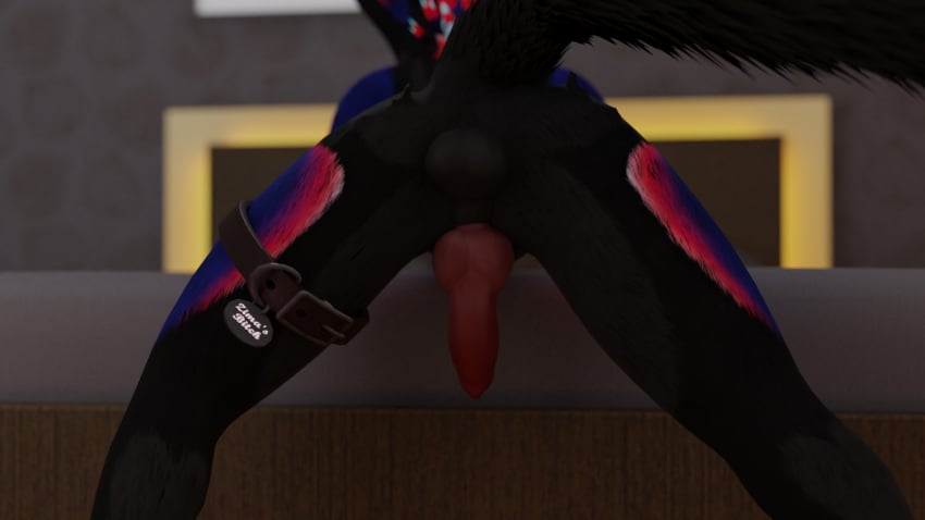 16:9 3d 3d_(artwork) animal_genitalia animal_genitals animal_penis anthro anthro_only ass backsack balls bed bedroom bedside bending_over bent_over black_fur blender_(software) blue_markings canid canine canine_genitalia canine_genitals canine_penis cock collar collar_tag degradation dick digital_media_(artwork) erect erect_penis erection feathers fur furniture furry furry_only genitals hanging_penis hi_res jex jexouium knot male male_only nsfw nude penis presenting presenting_hindquarters red_markings red_penis red_rocket rexis rexouium sheath solo tail_raised vr_media vrchat vrchat_avatar widescreen