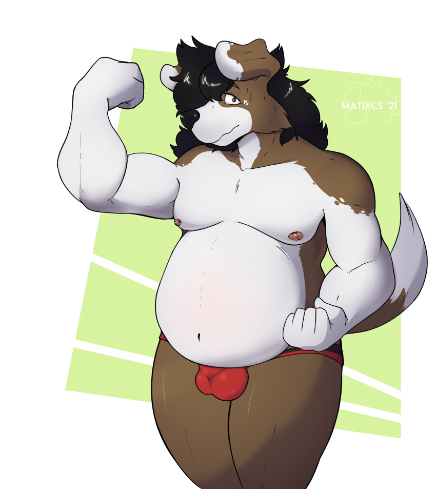 anthro balls_outline bulge canid canine canis clothing detailed_bulge domestic_dog floppy_ears genital_outline hair hi_res jockstrap long_hair male male_focus male_only mammal matix matixcs musclegut muscular muscular_male overweight solo solo_male underwear