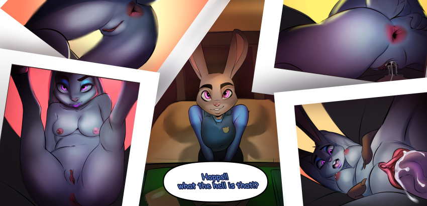 absurd_res animal_genitalia animal_penis anthro anus bodily_fluids breasts canine_penis chief_bogo clothing comic cum cum_in_pussy cum_inside didky disney female genital_fluids genitals hands_around_waist hi_res judy_hopps lagomorph leporid male male/female mammal medium_breasts nipple_piercing penetration penis photo police_uniform presenting presenting_pussy pussy rabbit shadow solo spread_anus spreading uniform unseen_male_face vaginal_penetration zootopia