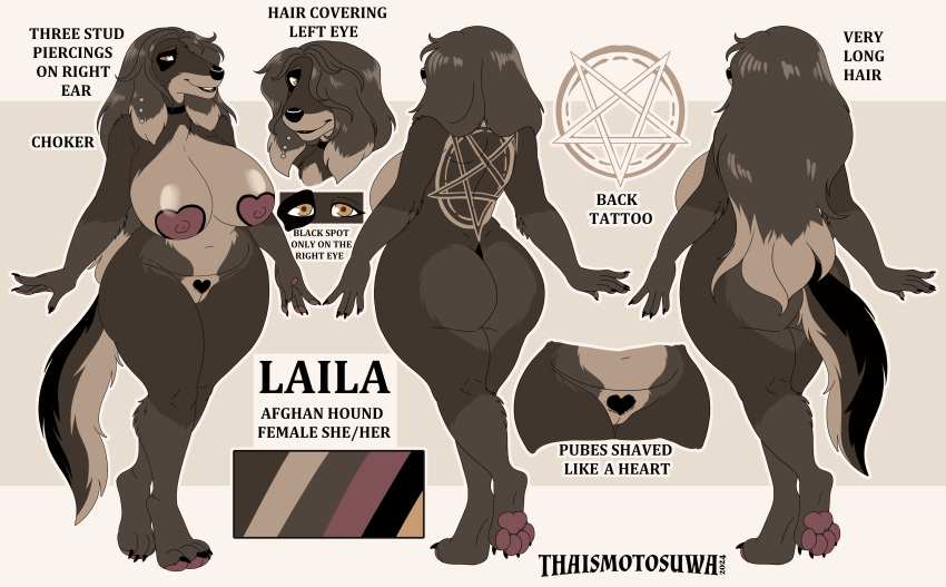 2024 absurd_res afghan_hound anthro areola ass big_butt breasts canid canine canis domestic_dog female hair hair_over_eye heart_areola heart_pubes hi_res hunting_dog mammal model_sheet occult_symbol pawpads paws pentagram piercing pubes reference_guide reference_to_character sighthound solo symbol tattoo thaismotosuwa thick_thighs