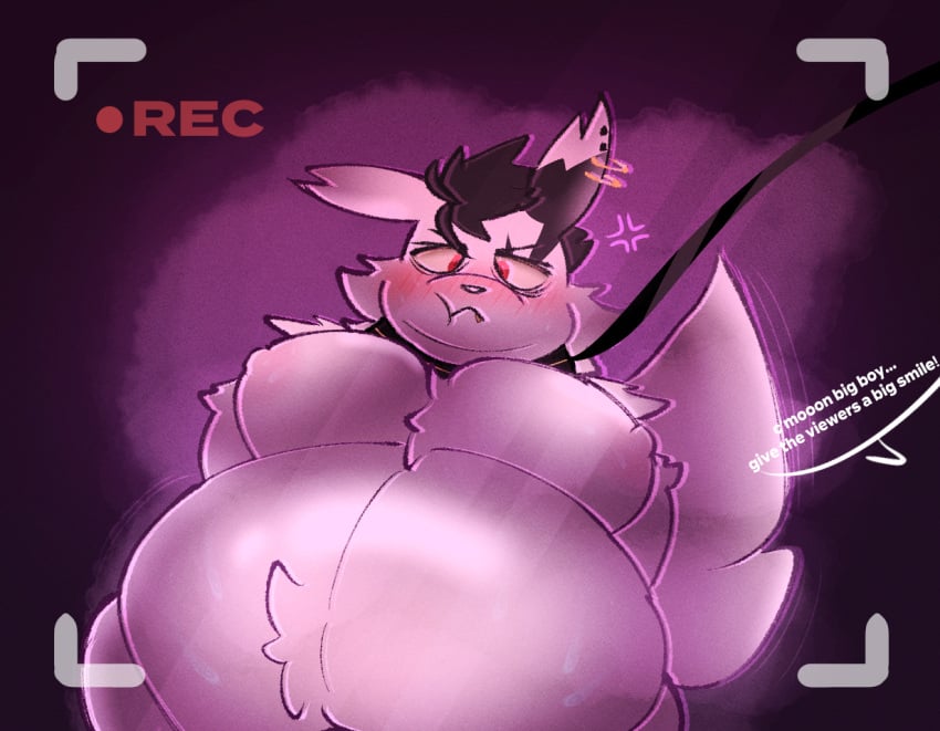 anthro belly big_belly blush bodily_fluids camera collar dialogue embarrassed en_(ratprey) generation_3_pokemon leash leash_pull male male_only moobs nintendo nipples nude overweight overweight_male piercing pokemon pokemon_(species) ratprey recording solo sweat tail zangoose