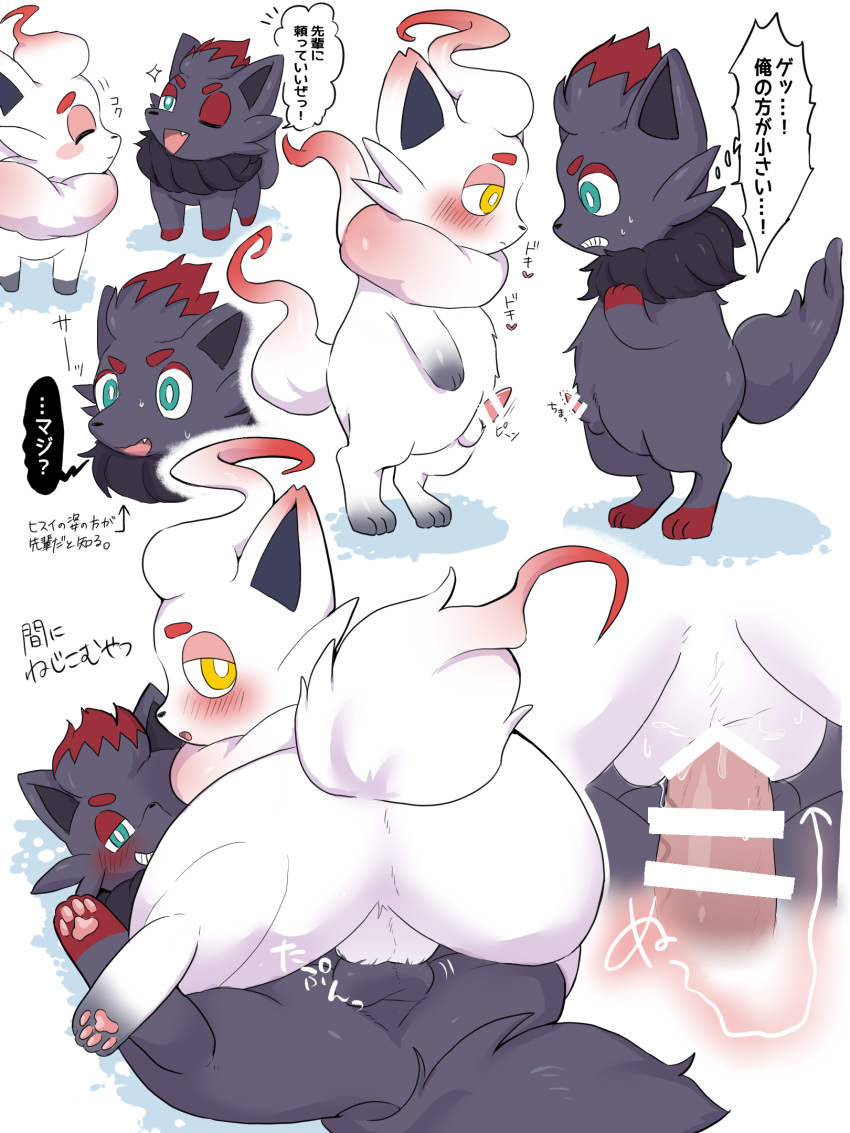 3:4 ass balls balls_touching bar_censor black_body black_fur blush censored duo erection feral feral_on_feral fur game_freak genitals hi_res hisuian_zorua japanese_text male male/male male_only nintendo one_eye_closed oumi penis pokémon_(species) pokemon pokemon_(species) pokemon_legends:_arceus presenting presenting_hindquarters regional_form_(pokémon) sequence spread_legs spreading stacking text translation_check translation_request video_games white_background white_body white_fur wink zorua