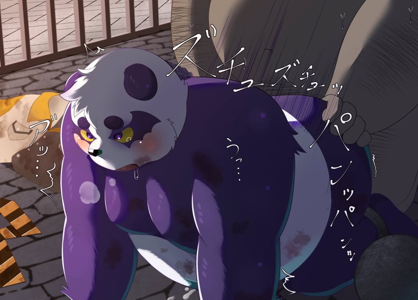 2021 alp_(tokyo_afterschool_summoners) anthro ass belly blush bodily_fluids detailed_background duo gay giant_panda hi_res hisashiyo_0705 human human_on_anthro humanoid_hands inside interspecies kemono lifewonders male male/male male_only mammal overweight overweight_male purple_body scar sex tears tokyo_afterschool_summoners ursid video_games white_body yaoi