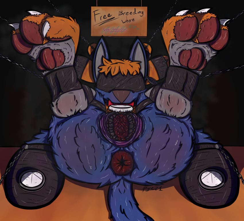 absurd_res anthro anus bondage female gag genitals hi_res jamie_(pyne) large_paws lucario nintendo no_humans pokemon pokemon_(species) pokemon_only puffy_anus pussy pyne_(artist) solo video_games