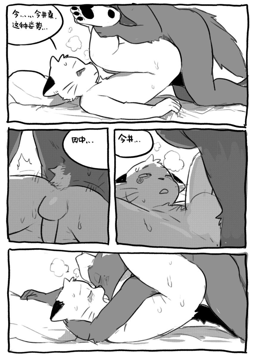 2021 anthro anthro_on_anthro anthro_penetrated anthro_penetrating anthro_penetrating_anthro balls black_pawpads chinese_text comic cougar dialogue duo felid feline genitals hajime_tanaka_(odd_taxi) hi_res kemono kissing male male/male male_penetrated male_penetrating male_penetrating_male mammal mephitid milkytiger1145 monochrome odd_taxi pawpads penetration penis shun_imai_(odd_taxi) skunk text whiskers