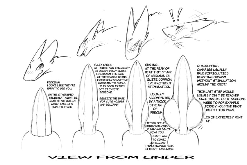 ! 3:2 animal_genitalia animal_penis becoming_erect blush canary_(fiaskers) canine_penis emotion_chart english_text feral fiaskers genitals hi_res in_rut joel_(fiaskers) knot knot_swelling male model_sheet monochrome penis sheath solo text