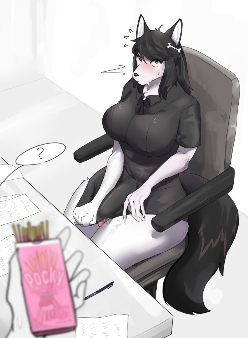 2021 ? absurd_res anthro ava_(kakhao) big_breasts black_hair blush bodily_fluids breasts bulge canid canine caught chair clothed clothing desk digital_media_(artwork) duo erection erection_under_clothing erection_under_skirt food fur furniture furry futanari genitals gynomorph hair hi_res hiding_penis horny intersex kakhao mammal office_chair office_lady original penis pocky poking_out poking_penis red_eyes sitting solo_focus sweat white_body white_fur yellow_eyes