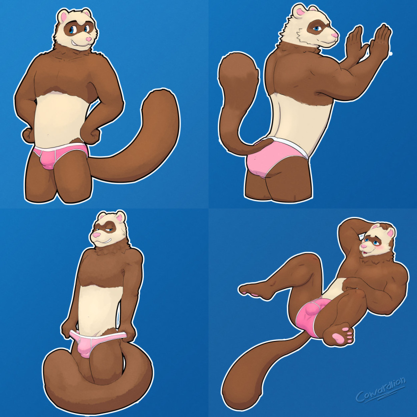 1:1 anthro blush briefs bulge clothed clothing cowardlion domestic_ferret hi_res male mammal multiple_poses mustela mustelid musteline pink_briefs pink_clothing pink_underwear pose solo true_musteline underwear underwear_only white_seam_underwear