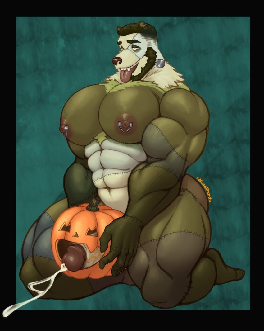 anthro beard big_pecs black_hair bodily_fluids cum ejaculation facial_hair food fruit fucking_pumpkin fur furry genital_fluids genitals hair halloween hi_res holidays hunnipanda improvised_sex_toy jack-n'-lantern jack-o'-lantern male male_only mammal muscular muscular_anthro muscular_male nipple_piercing nipples nude pecs penis piercing plant pumpkin solo teeth thick_thighs tongue tongue_out ursid