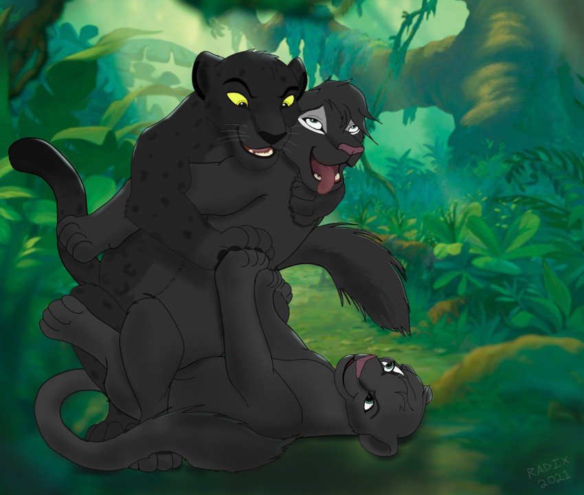 disney felid female feral group group_sex hi_res incest leopard male mammal mmf_threesome pantherine radixpanther radixpanther_(character) sex shads the_lion_king threesome white_scar