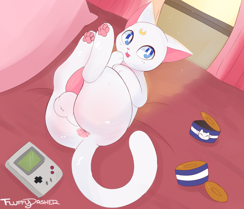 4_toes animal_genitalia animal_penis anus artemis_(sailor_moon) balls bed bishoujo_senshi_sailor_moon blue_eyes cats_are_fine_too curtains domestic_cat erection feet felid feline felis feral fluffydasher fur furniture furry furry_only game_boy game_boy_family genitals hi_res lying male male_only mammal monochrome_fur nintendo nude on_back open_mouth pawpads paws penis perineum pillow pink_nose pink_pawpads solo tail tapering_penis toes video_games white_body white_fur