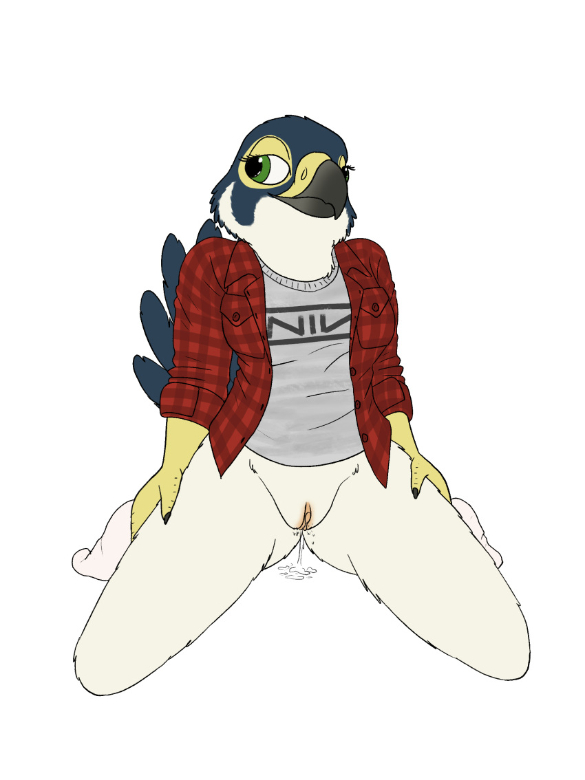 absurd_res alpha_channel anthro aroused avian beak bird blush bodily_fluids body_blush bottomless breasts clothed clothing falcon falconid female fish_birb flannel flannel_shirt footwear furry furry_only genital_fluids genitals heart hi_res katie_(fish_birb) nine_inch_nails no_underwear partially_clothed pattern_clothing pattern_shirt pattern_topwear peregrine_falcon plaid plaid_clothing plaid_shirt plaid_topwear pussy pussy_blush pussy_juice shirt socks solo spread_legs spreading t-shirt topwear