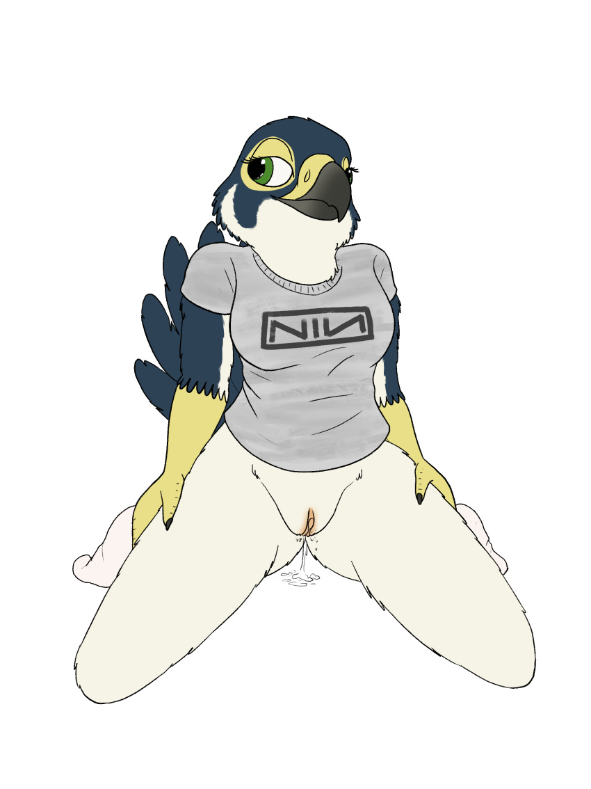 absurd_res alpha_channel anthro aroused avian beak bird blush bodily_fluids body_blush bottomless breasts clothed clothing falcon falconid female fish_birb footwear furry furry_only genital_fluids genitals heart hi_res katie_(fish_birb) nine_inch_nails no_underwear partially_clothed peregrine_falcon pussy pussy_blush pussy_juice shirt socks solo spread_legs spreading t-shirt topwear