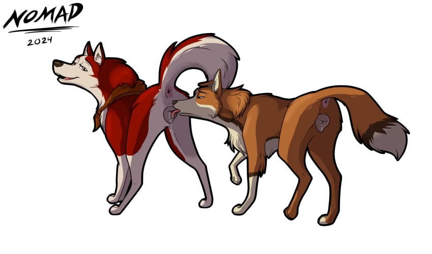 anatomically_correct anatomically_correct_genitalia anatomically_correct_pussy anus balto_(series) bodily_fluids canid canine canis collie cunnilingus domestic_dog female female/female feral feral_on_feral genital_fluids genitals herding_dog hi_res husky jenna_(balto) looking_back mammal nomad_genesis nordic_sled_dog oral pastoral_dog pussy raised_tail sex sheepdog spitz spread_legs spreading tail universal_studios vaginal_fluids vaginal_penetration