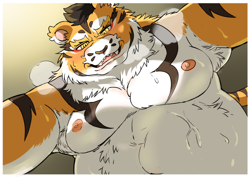 2024 absurd_res anthro blush bodily_fluids cum cum_on_belly cum_on_body felid genital_fluids hi_res hysk kemono male male_only mammal open_mouth overweight overweight_male pantherine simple_background sole_male solo solo_male tiger white_body