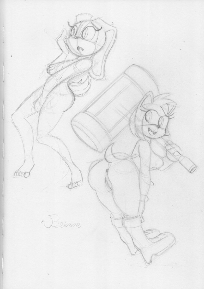 absurd_res amy_rose anus breasts brimm cream_the_rabbit genitals hi_res humanoid_genitalia humanoid_pussy pussy sega sketch sonic_(series) sonic_the_hedgehog_(series) traditional_media