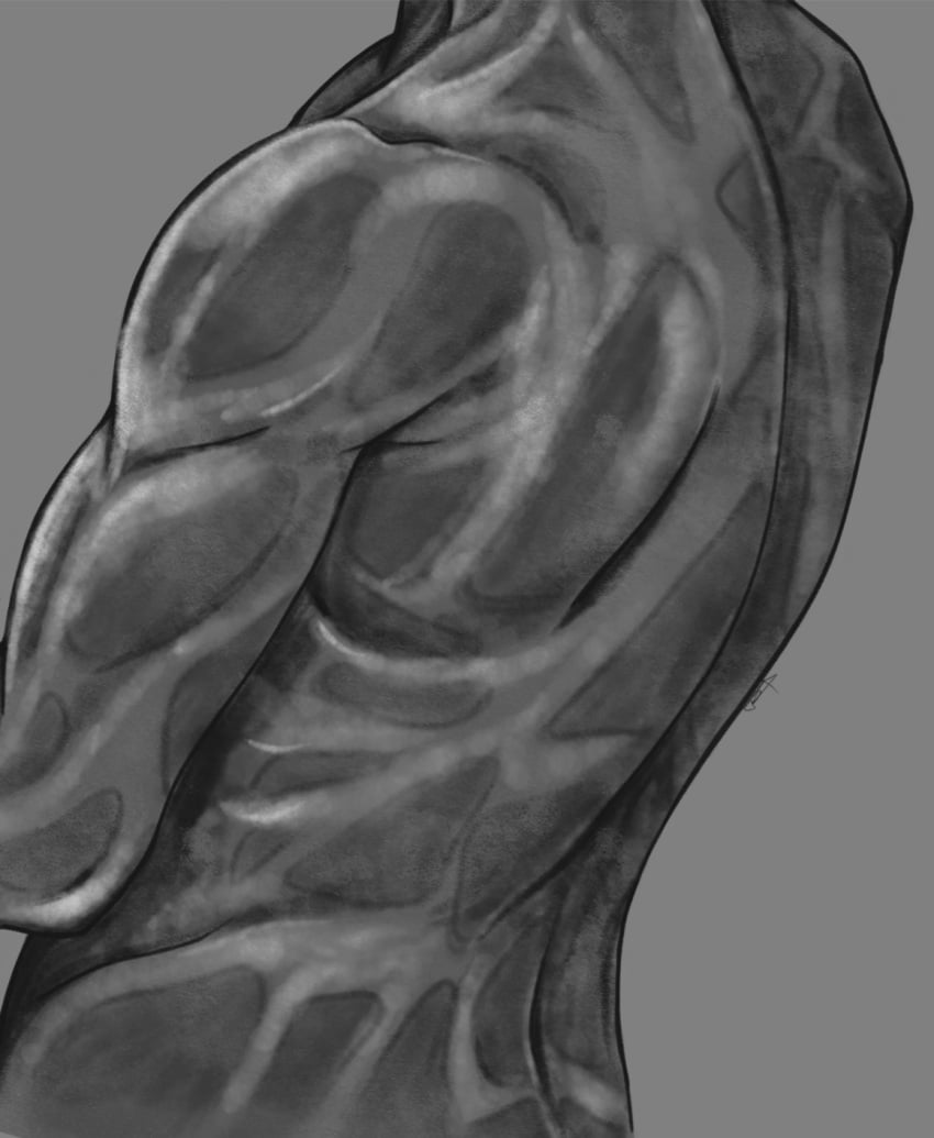 Freddy Krueger (A Nightmare On Elm Street) Rule 34 Image