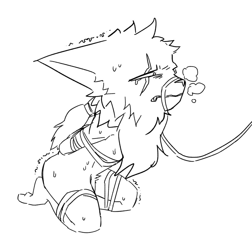 Kled (Lol) Rule 34 Image