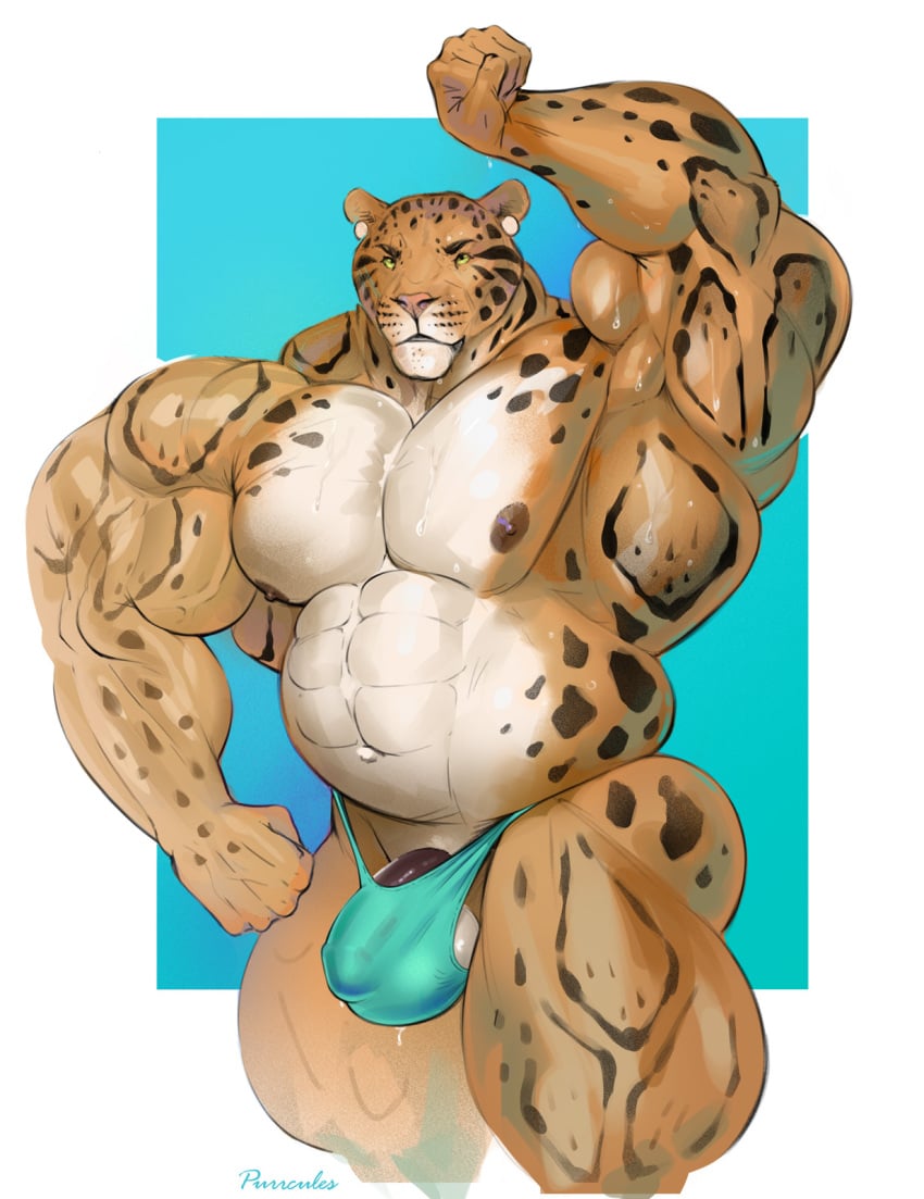 5_fingers abs anthro areola balls barely_contained belly benji_(character) biceps big_balls big_biceps big_muscles big_penis biped bodily_fluids brown_body brown_fur brown_spots clothed clothing clouded_leopard ear_piercing felid fingers fist fur genitals hi_res huge_biceps huge_muscles huge_thighs hyper hyper_muscles mainlion male male_only mammal musclegut muscular navel nipples pantherine pecs penis piercing pinup pose raised_arm roidgut solo spots spotted_body spotted_fur sweat sweatdrop tan_body tan_fur thick_thighs thong thong_only underwear underwear_only veiny_muscles yellow_sclera