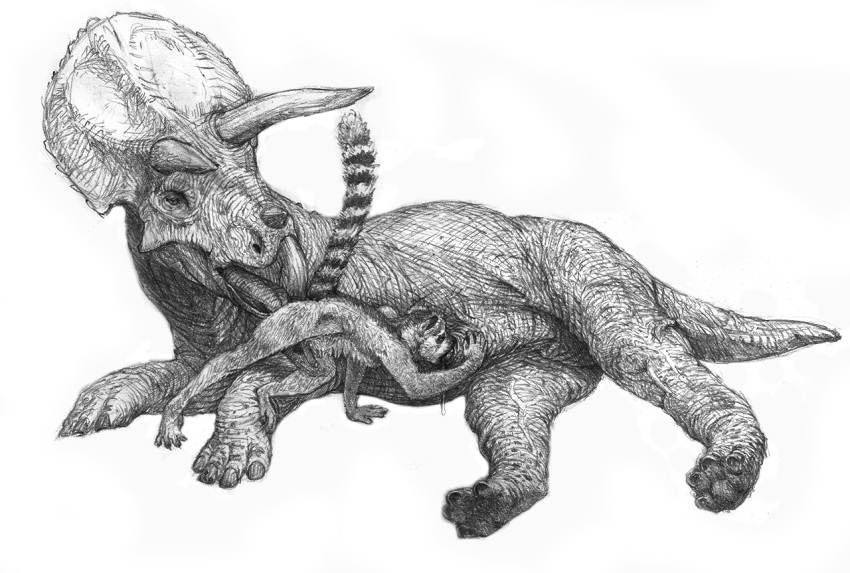 2020 a_inc anal balls ceratopsian dinosaur erection fellatio feral feral_on_feral genitals greyscale interspecies lemur male male/male mammal monochrome oral ornithischian penile primate raised_tail reptile rimming scalie sex strepsirrhine triceratops