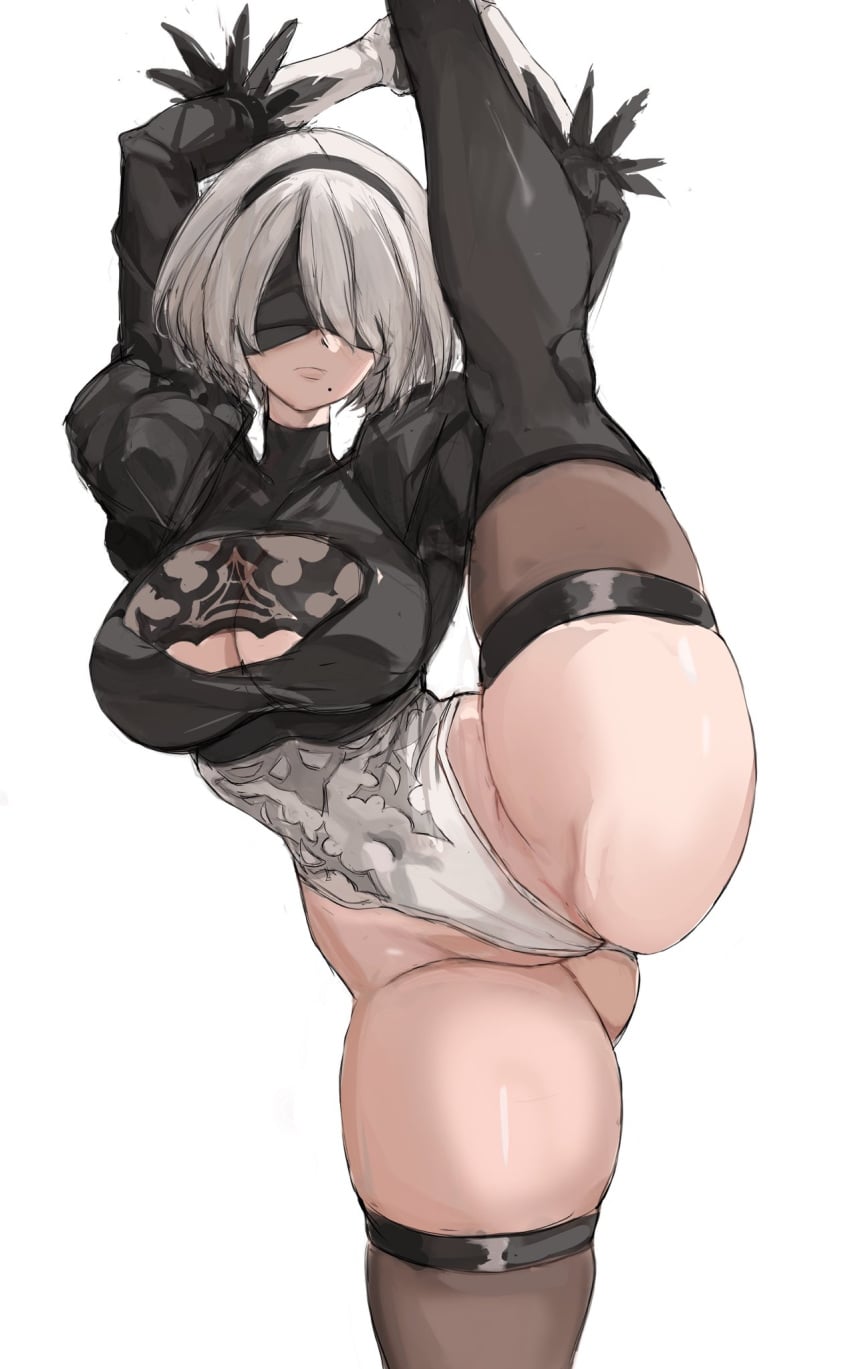 Nier (Series) Rule 34 Image