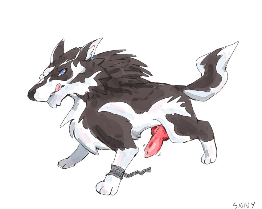 Animal Genitalia Rule 34 Image