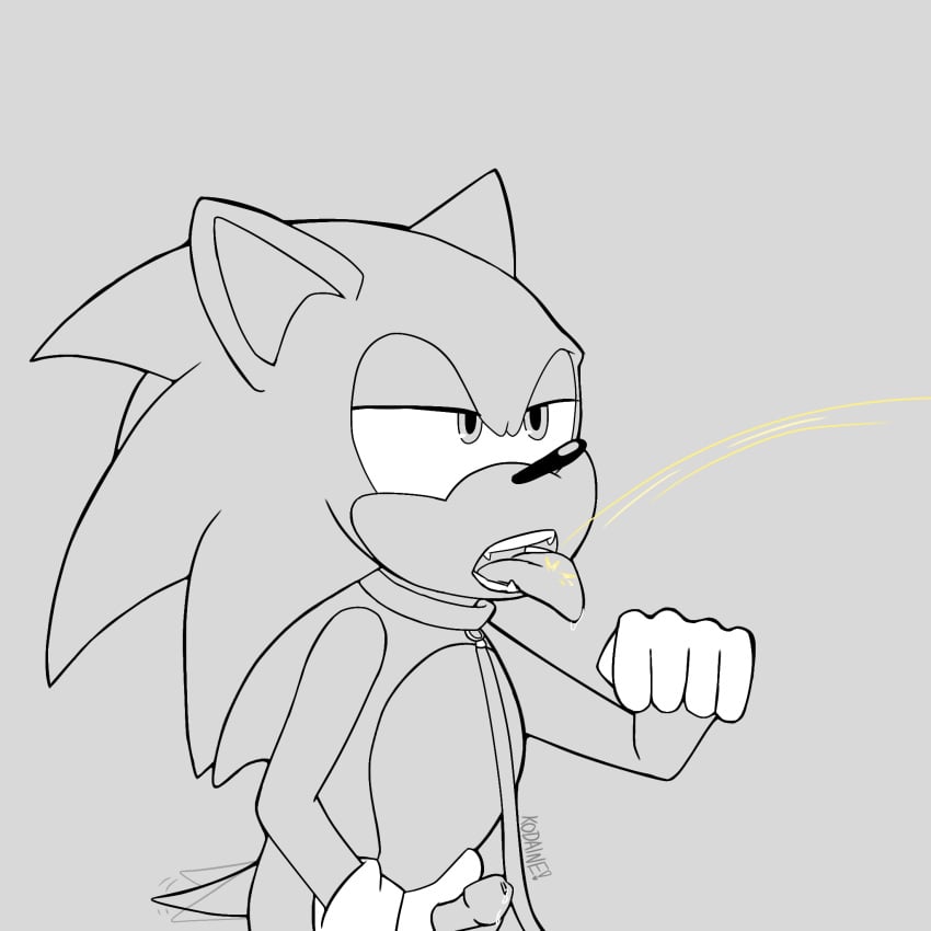 Sonic The Hedgehog (Sega) Rule 34 Image