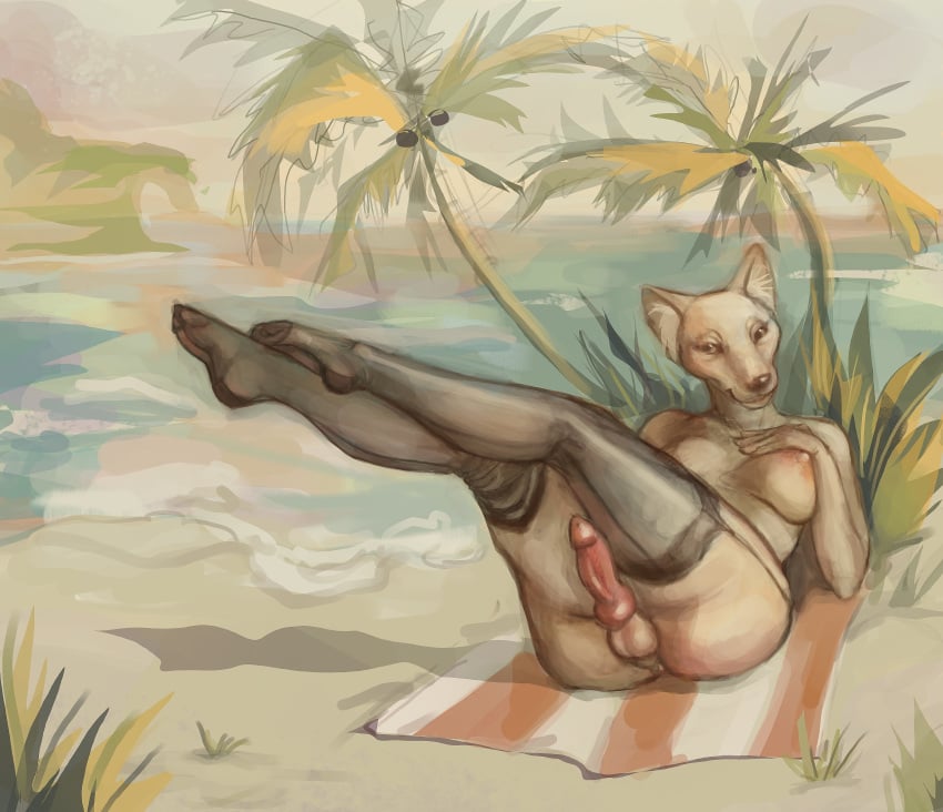 1futa anthro anthro_only beach beach_towel big_breasts breasts canine_genitalia canine_penis feet feet_in_stockings fox furry furry_balls furry_breasts furry_only futa_only futanari highres knot knotted_penis laying_down nude nude_anthro nude_futanari penis puffy_nipples socks stockings stockings_only thicc_thighs thighhighs torpedo_breasts twingolover warm_colors wolf