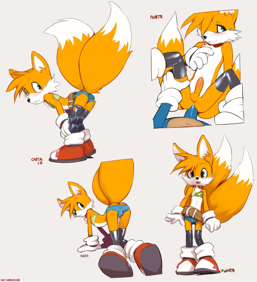 anthro balls canine fox fur gay hedgehog interspecies male male_only male_pov mammal multiple_males nude onta penis pov sega sex sonic_(series) sonic_the_hedgehog sonic_the_hedgehog_(series) sonic_the_hedgehog_2 tails yaoi