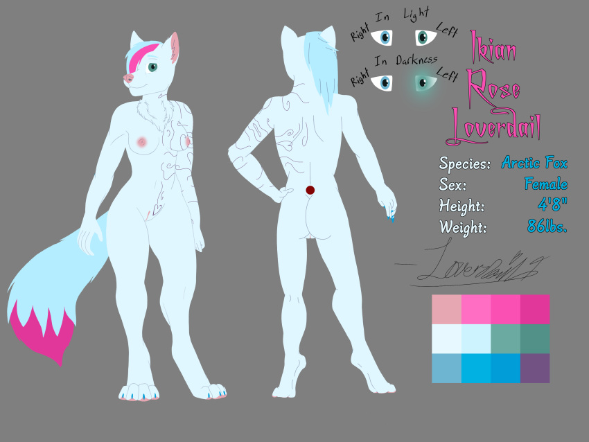 4:3 absurd_res anthro arctic_fox breasts canid canine character_name dipstick_tail female flat_colors fox fur genitals hi_res ikian_loverdail loverdail1 mammal markings model_sheet nipples nude pink_nipples pink_nose pussy solo tail_markings white_body white_fur