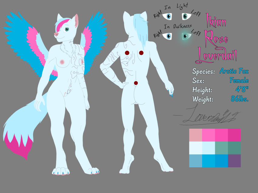 4:3 absurd_res anthro arctic_fox breasts canid canine character_name dipstick_tail english_text female flat_colors fox fur genitals hi_res ikian_loverdail loverdail1 mammal markings model_sheet nipples nude pink_nipples pink_nose pussy solo tail_markings text white_body white_fur wings