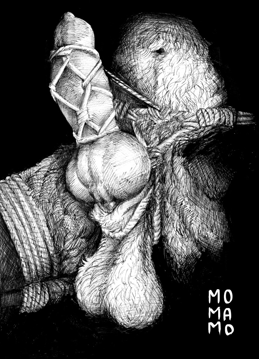 animal_genitalia animal_penis balls bondage bondage bound canid canine canine_penis crotch_shot english_text fur genitals hi_res knot male mammal momamo monochrome penis rope solo text