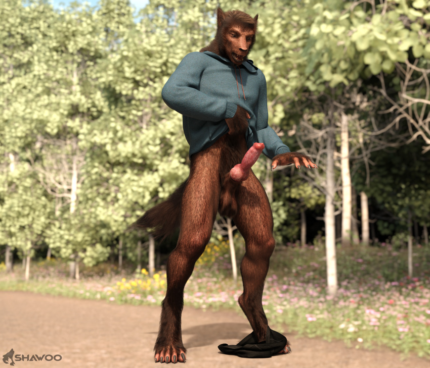 3d_(artwork) animal_genitalia animal_penis anthro canid canine canine_penis canis claws clothed clothing digital_media_(artwork) erection fluffy forest fur genitals hi_res hoodie male male_only mammal partially_clothed penis plant shawoo solo surprise teeth topwear transformation tree underwear underwear_down were werecanid werecanine werewolf wolf