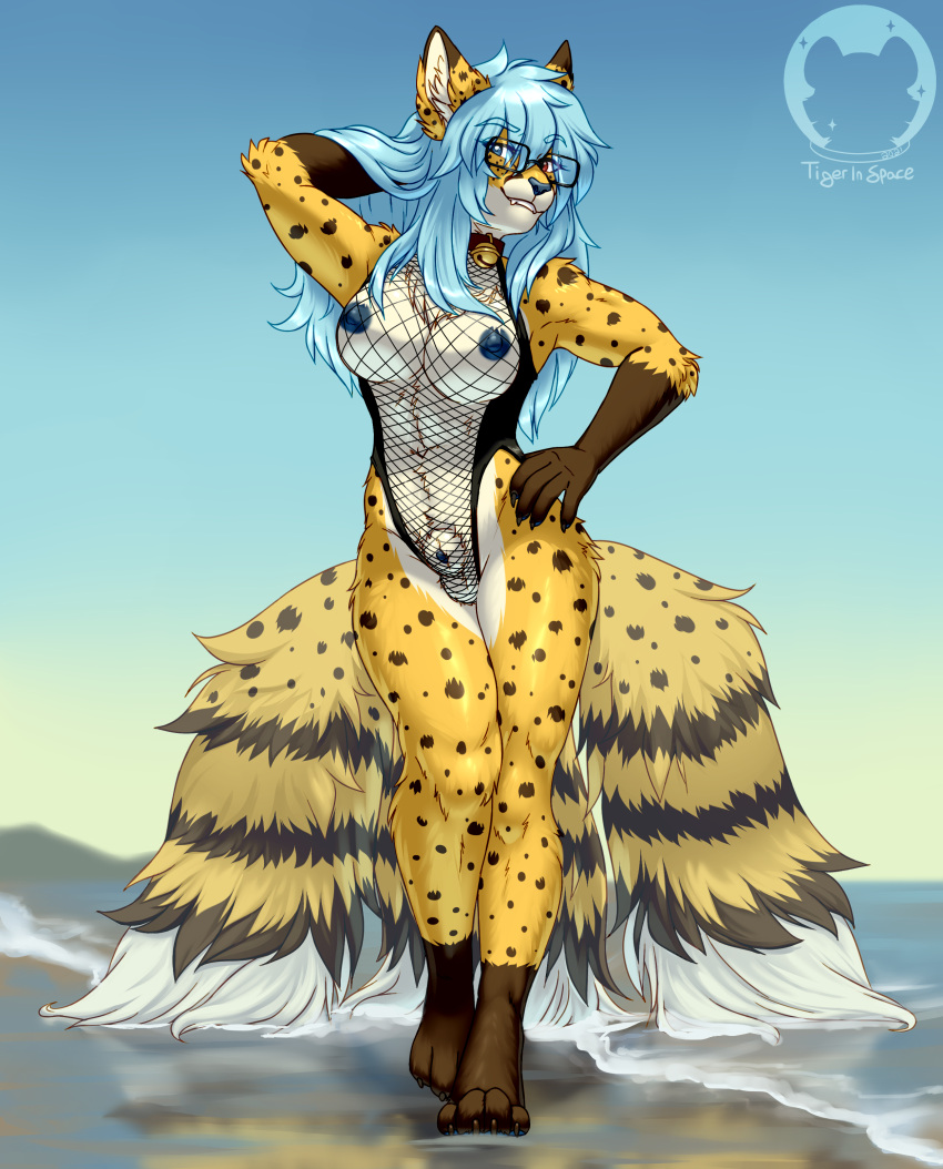 1futa absurd_res animal_genitalia anthro balls beach bell blue_eyebrows blue_eyes blue_hair blue_nipples blue_pawpads breasts canid canine cheetah chest_tuft clothing collar digitigrade exposed_breasts eyebrows eyewear felid feline fishnet fishnet_swimwear fox fully_sheathed futa_only futanari genitals glasses grin hair hand_behind_head hand_on_hip heterochromia hi_res hybrid ineffective_clothing intersex mammal mostly_nude multi_tail neko_ed nipples nude nude_futanari outside pawpads penis penis_tip pose raised_arm red_collar red_eyes seaside sheath smile solo swimwear tigerinspace tuft water