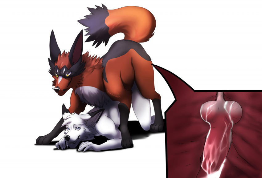 anal anal_knotting anal_sex animal_genitalia animal_penis anthro anthro_on_feral anthro_penetrated biped bodily_fluids canid canine cum cum_in_ass cum_inside cutaway dean.winchester digitigrade duo erection feral feral_penetrating feral_penetrating_anthro fox from_behind_position fur genital_fluids genitals internal interspecies knotting lehran male male/male male_penetrated male_penetrating male_penetrating_male mammal nintendo nude penetration penile penile_penetration penis pokémon_(species) poképhilia pokemon quadruped sex simple_background thievul video_games white_background zoophilia