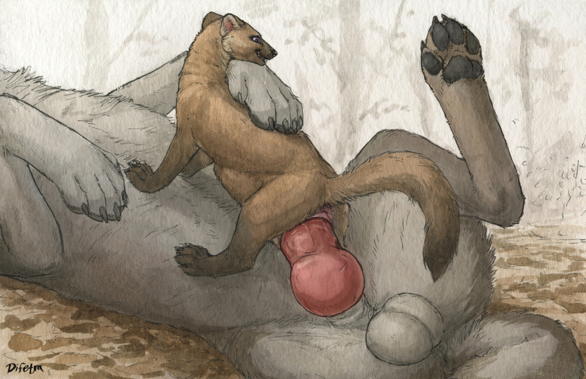 anus balls black_pawpads brown_body brown_fur day detailed_background difetra duo female female_penetrated feral feral_on_feral feral_penetrated feral_penetrating feral_penetrating_feral forest fur furry furry_only genitals grass grey_body grey_fur gulonine hi_res knot large_insertion larger_male living_condom male male/female male_penetrating male_penetrating_female mammal marten mustelid musteline no_humans outside pawpads penetration plant sex size_difference smile stomach_bulge tree vaginal_penetration