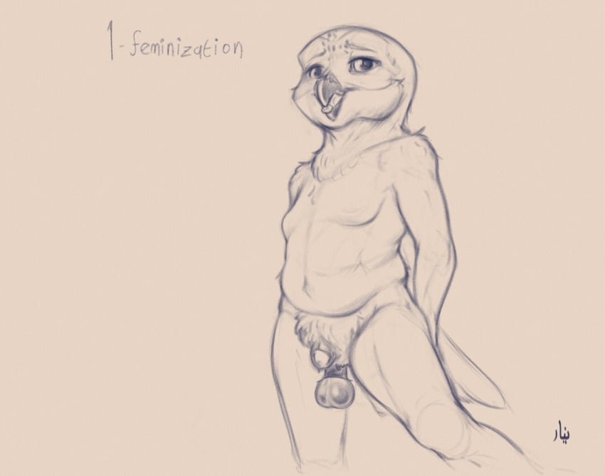 anthro avian balls bird bodily_fluids bubo_(genus) chastity_cage chastity_device cock_and_ball_torture dripping elastrator genital_fluids genital_torture genitals looking_at_viewer male monochrome nyar owen_evans owl precum precum_drip pubes simple_background smile smiling_at_viewer snowy_owl solo true_owl white_body