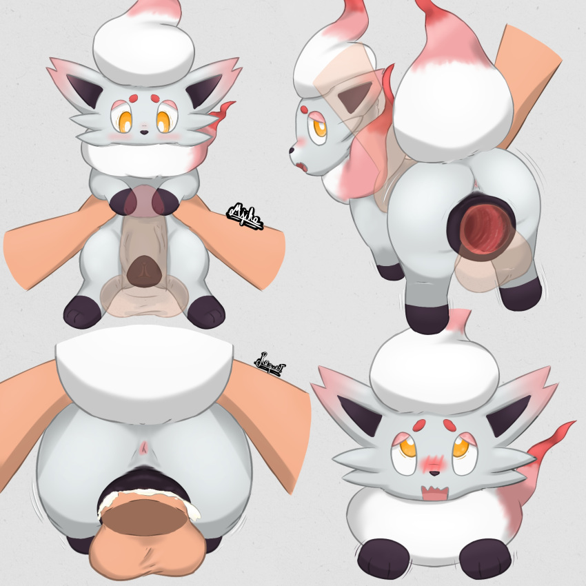 Pokemon (Species) Rule 34 Image