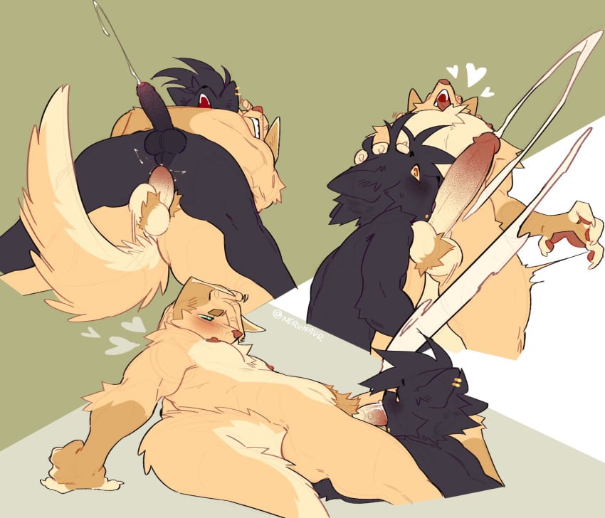 Raphe (Anatomy) Rule 34 Image