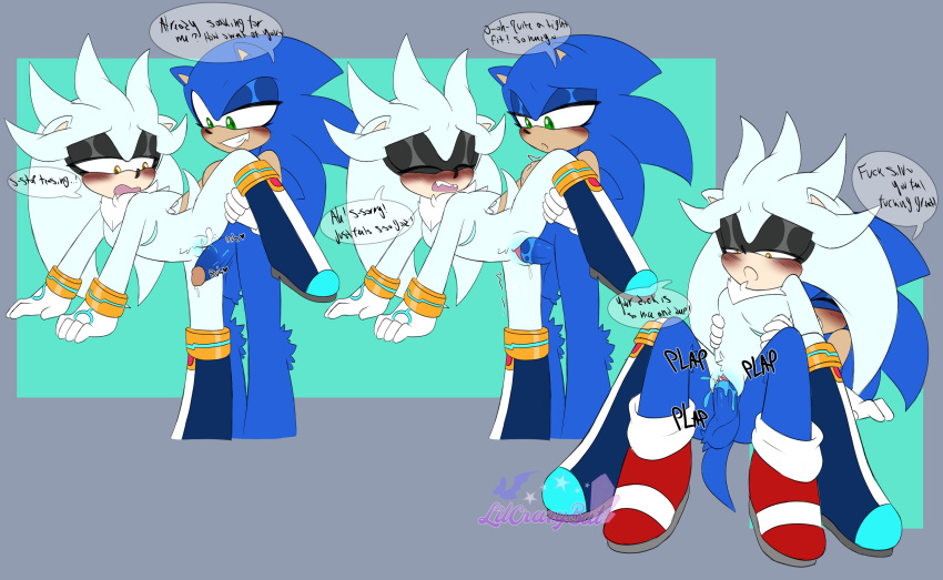 Silver The Hedgehog (Sega) Rule 34 Image