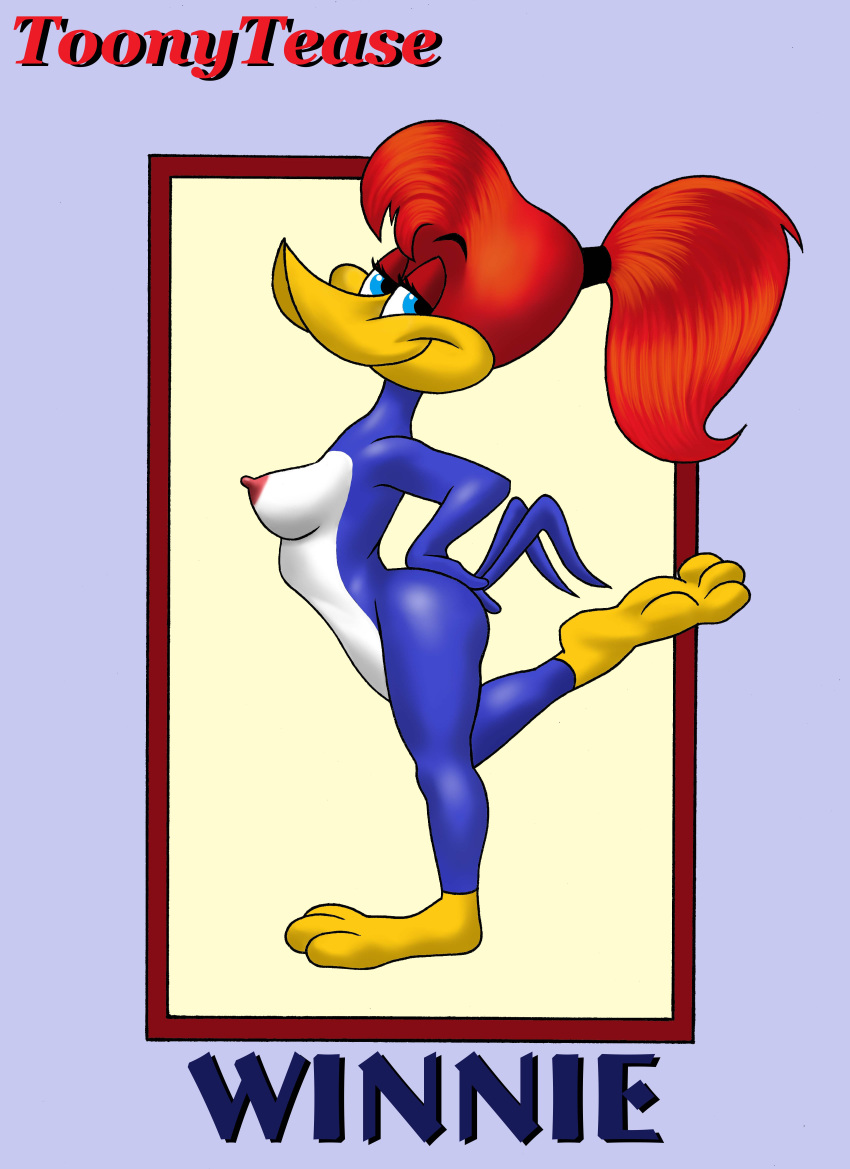 alternate_body_type alternate_breast_size anthro avian beak blue_eyes blue_feathers erect_nipples female furry nude one_leg_up ponytail solo tail_feathers the_woody_woodpecker_show toonytease winnie_woodpecker