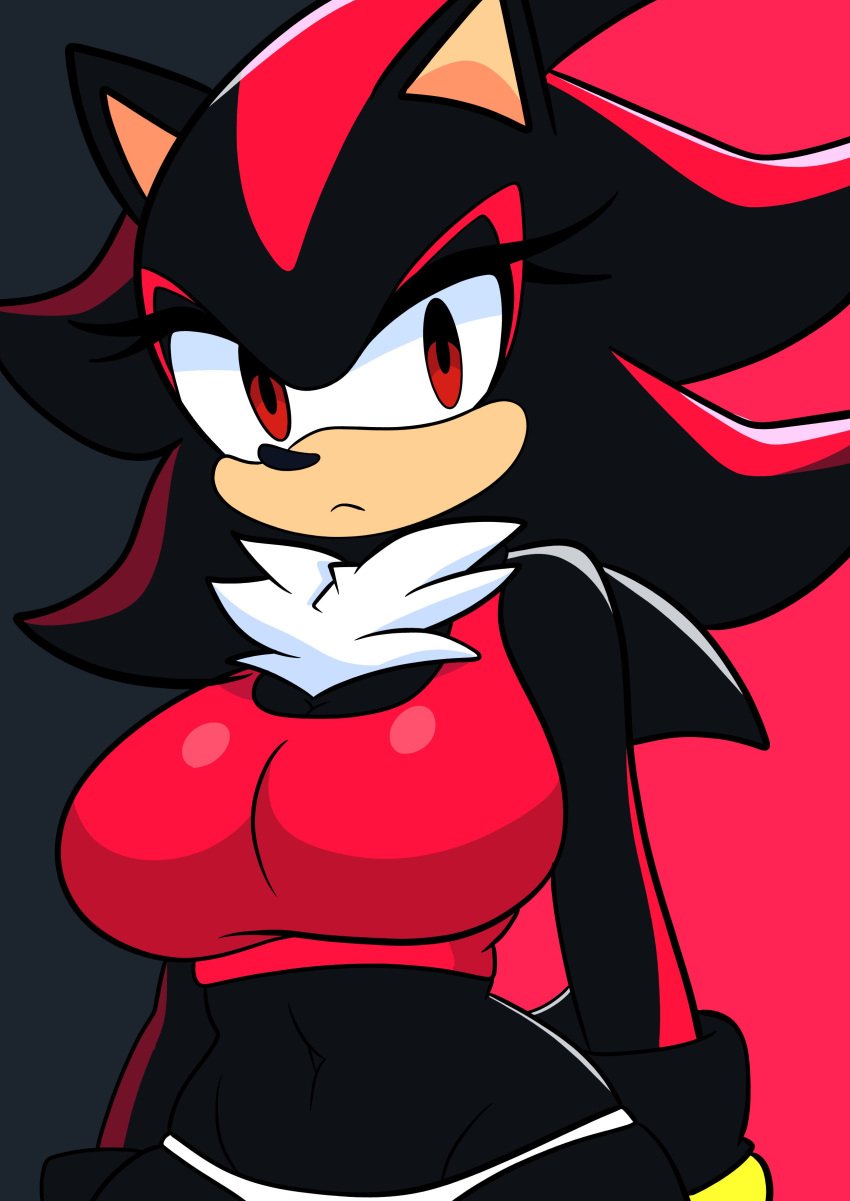 ai_generated bra female furry_funnychan latina panties rule_63 shadow_the_hedgehog